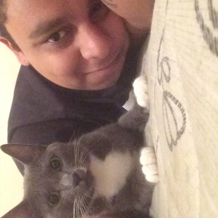 Gato ra a Indefinido. idade 1 ano nome Morticia