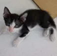 Mimi