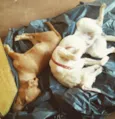 Lucky e Snow