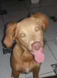 Billy