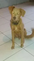 Billy