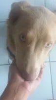 Billy