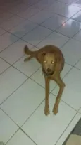 Billy