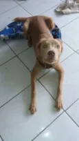Billy