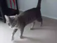 Tom