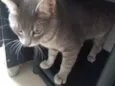 Tom