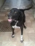 Spike