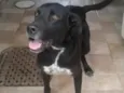 Spike