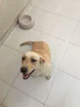 Mel