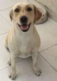Mel