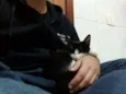 Sem nome