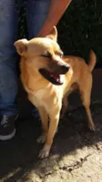 Scooby