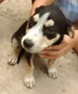Lindinha