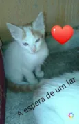 Anjos