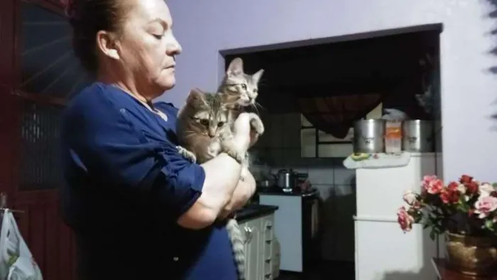 Gato ra a Sem raça idade 2 a 6 meses nome Casal de gatinho doar