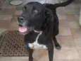 Spike