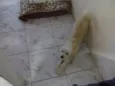 Fred