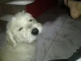 Fred