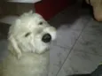 Fred