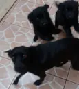 Não tem nome ainda