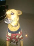 Fredy 