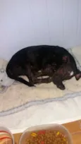 Não tem nome 