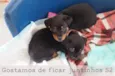 Max e Lupita