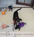 Max e Lupita