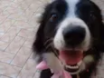 Cloe