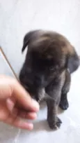 Jimi