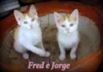 Fred e Jorge