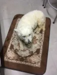 Nao sei