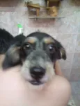 Spock