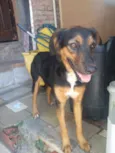 Princesa