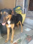 Princesa