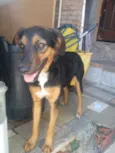 Princesa