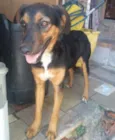 Princesa