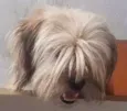 Mel
