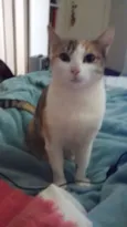 Sophie