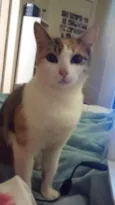 Sophie