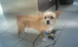 Billy