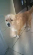 Billy