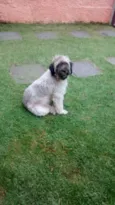 Peeta