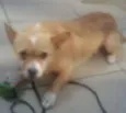 Billy