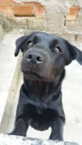 Xena