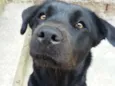 Xena