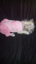 Julie