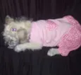 Julie