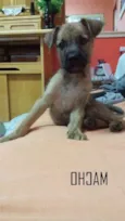 Bob