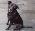 Neguinho